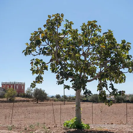 Quinta Castor Feriehus