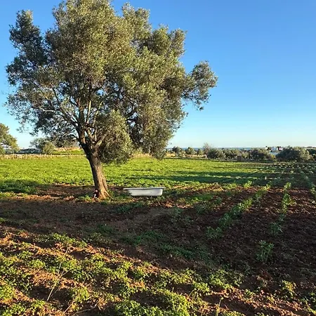 Feriehus Quinta Castor