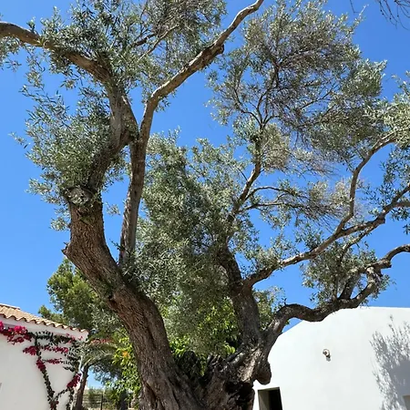 度假居 Quinta Castor