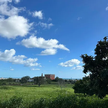 Quinta Castor Casa de Férias *