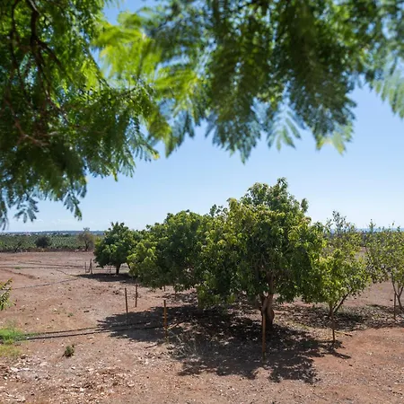 Quinta Castor