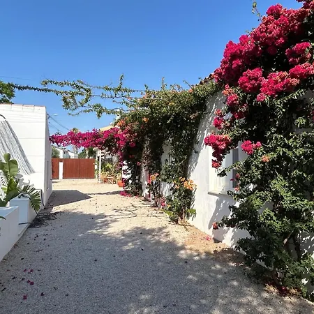 Quinta Castor Casa de Férias