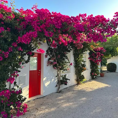 Quinta Castor