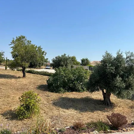 Quinta Castor