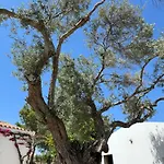 Holiday home Quinta Castor
