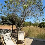 Quinta Castor Holiday home *