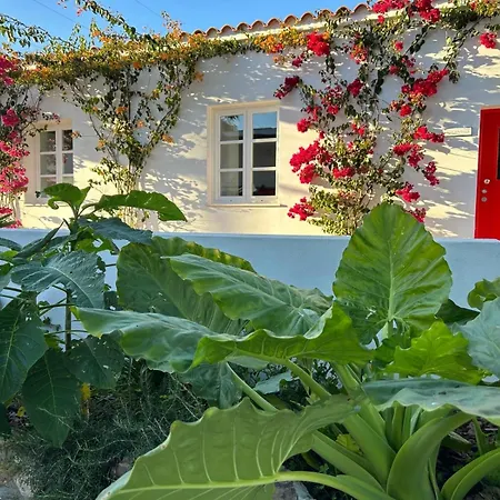 Quinta Castor * Vila Nova de Cacela